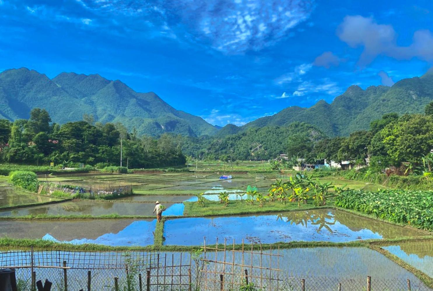 Meadow Mai Chau Homestay מראה חיצוני תמונה
